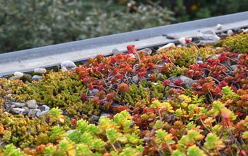 the cost of Bluntisham green roof installation