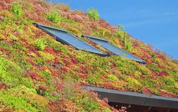 Bluntisham living roof systems