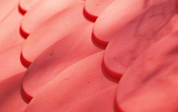 Bluntisham plastic roof costs