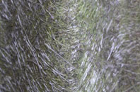 Bluntisham fibreglass roof work